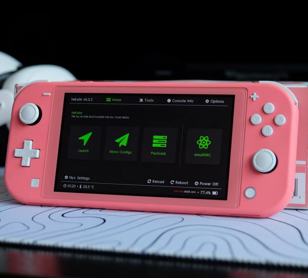 Modded Nintendo Switch Lite