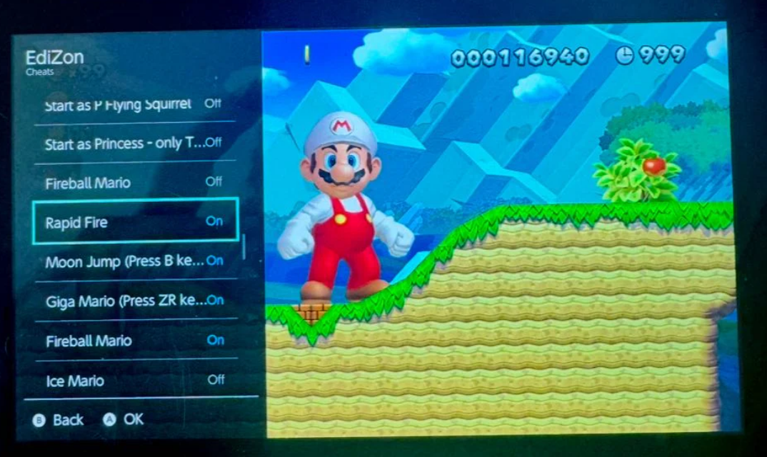 Modded Nintendo Switch Lite