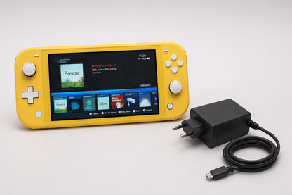 Ferdig Moddet Nintendo Switch Lite